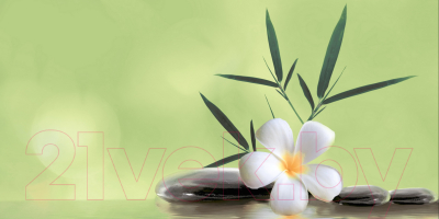 Декоративная плитка Beryoza Ceramica Ливадия салатный (500x250)