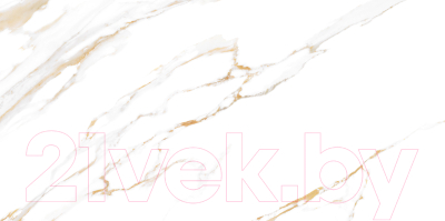 Плитка Alma Ceramica Dublin TWU09DBL004 (249x500)