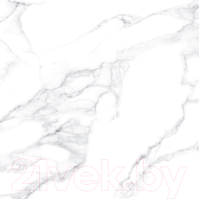 Плитка Alma Ceramica Imola GFU57IML07R (570x570)