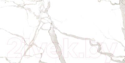 Плитка Netto Kalos Stone Polished (600x1200)