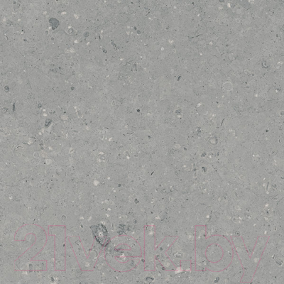 Плитка Гранитея Аркаим серый MR (600x600)