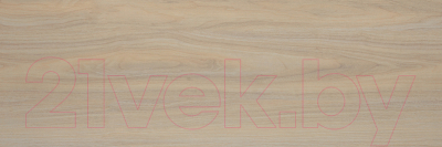 Плитка Alma Ceramica Tokio TWU11TOK404 (200x600)