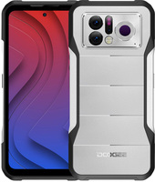 Doogee V20 Pro 12GB/256GB (серебристый)