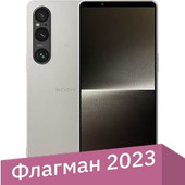 Sony Xperia 1 V 12GB/256GB (платиновое серебро)