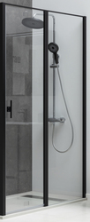 Душевая дверь Allen Brau Priority 3.31009.BBA