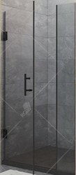 Душевая дверь RGW HO-012B 120
