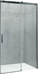 Душевая дверь Riho Ocean G006003120