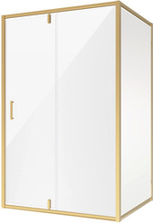 Душевой уголок Niagara NG-43-12AG-A80G 120x80x190