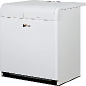Отопительный котел Ferroli Pegasus 2S 107