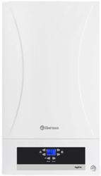 Отопительный котел Thermex Hydra HS 24