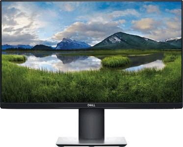 Dell P2421D