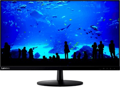 Lenovo L28u-30 (65FAGAC2EU)