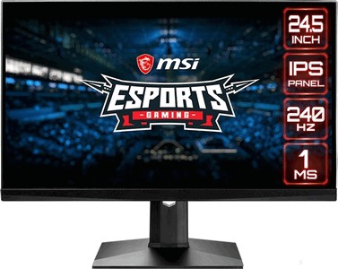 MSI Optix MAG251RX