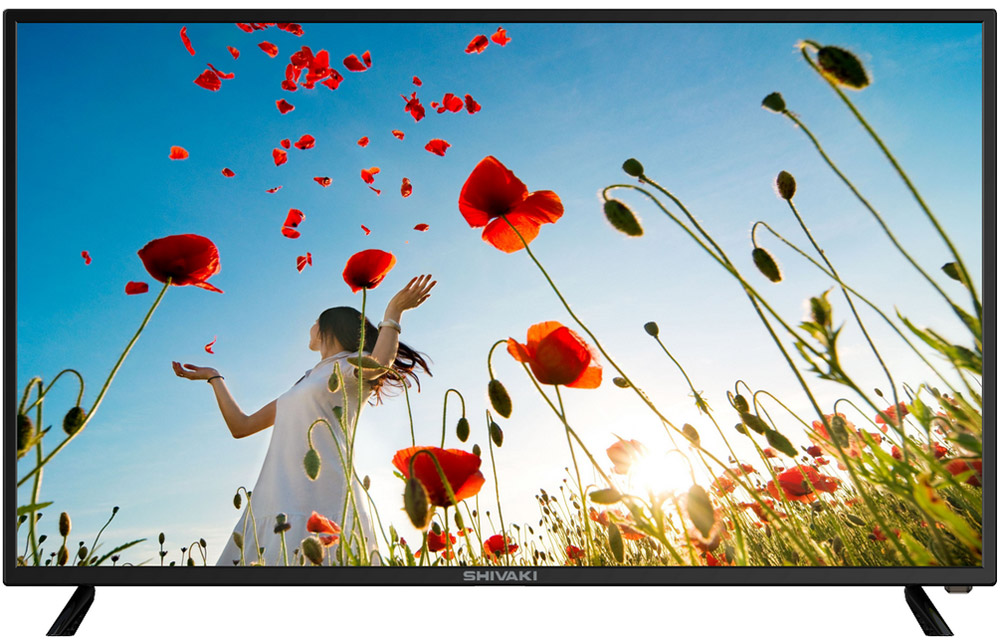 Shivaki STV-43LED41