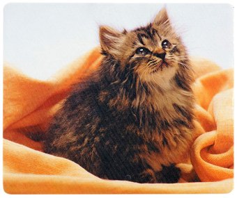 Коврик для мыши Defender Silk