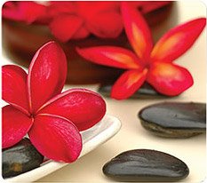 Коврик для мыши Fellowes fs-59046