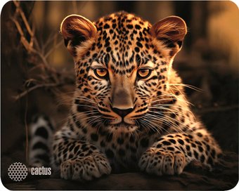 Коврик для мыши CACTUS CS-MP-D06S