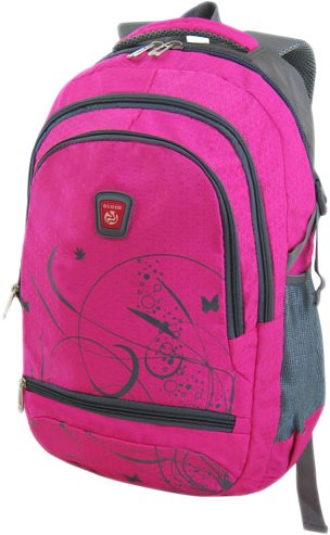 Городской рюкзак Stelz 1909