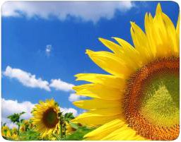 Коврик для мыши Buro BU-M20036