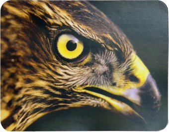 Коврик для мыши Buro BU-M40005 "Орёл"