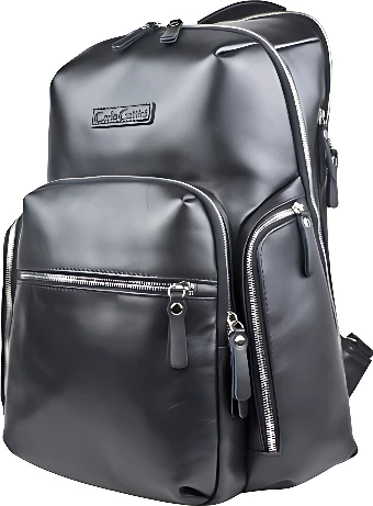 Городской рюкзак Carlo Gattini Premium Bertario 3102-53