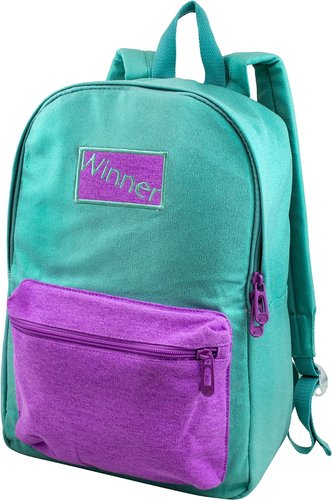 Городской рюкзак Winner 168