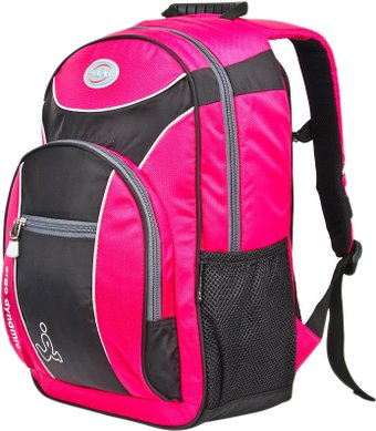 Школьный рюкзак Polar П0088